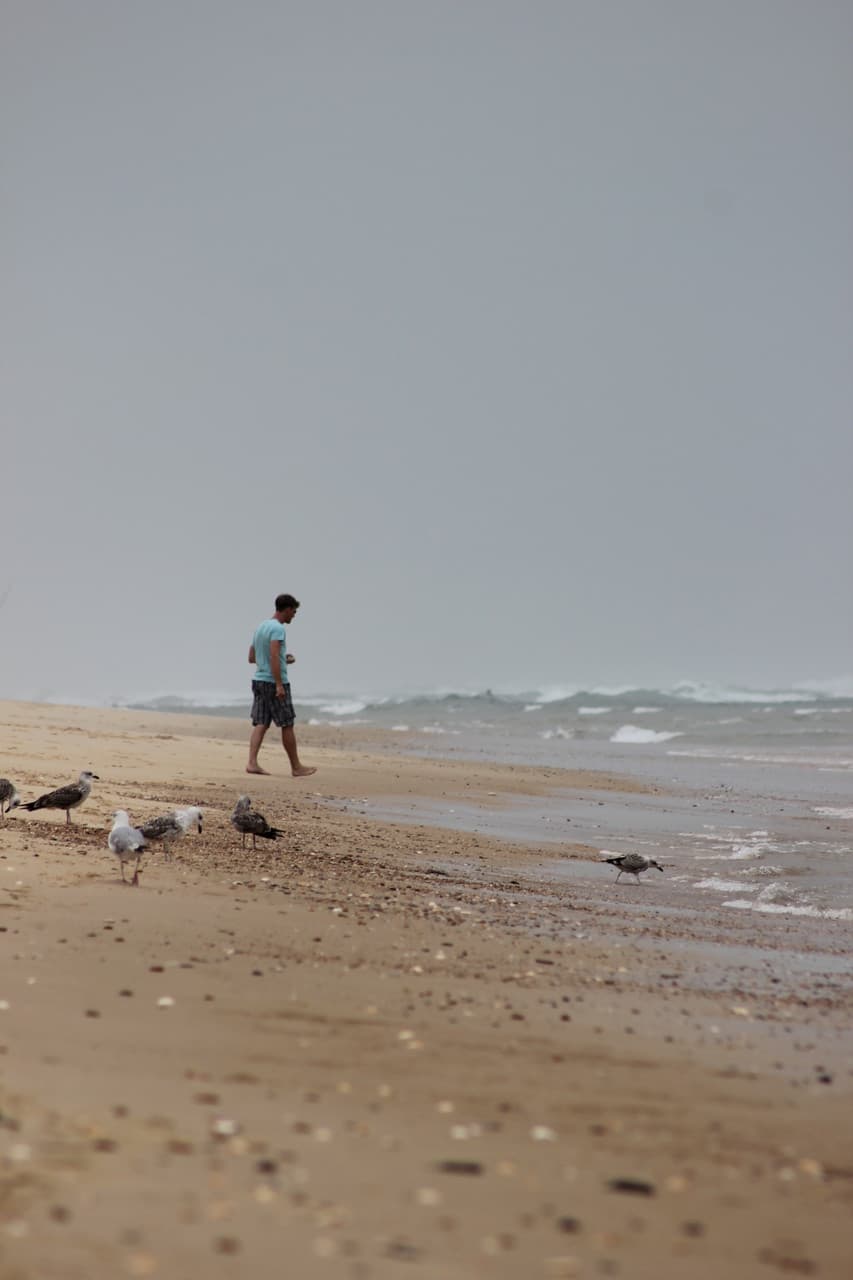 Samen wandelen op het strand