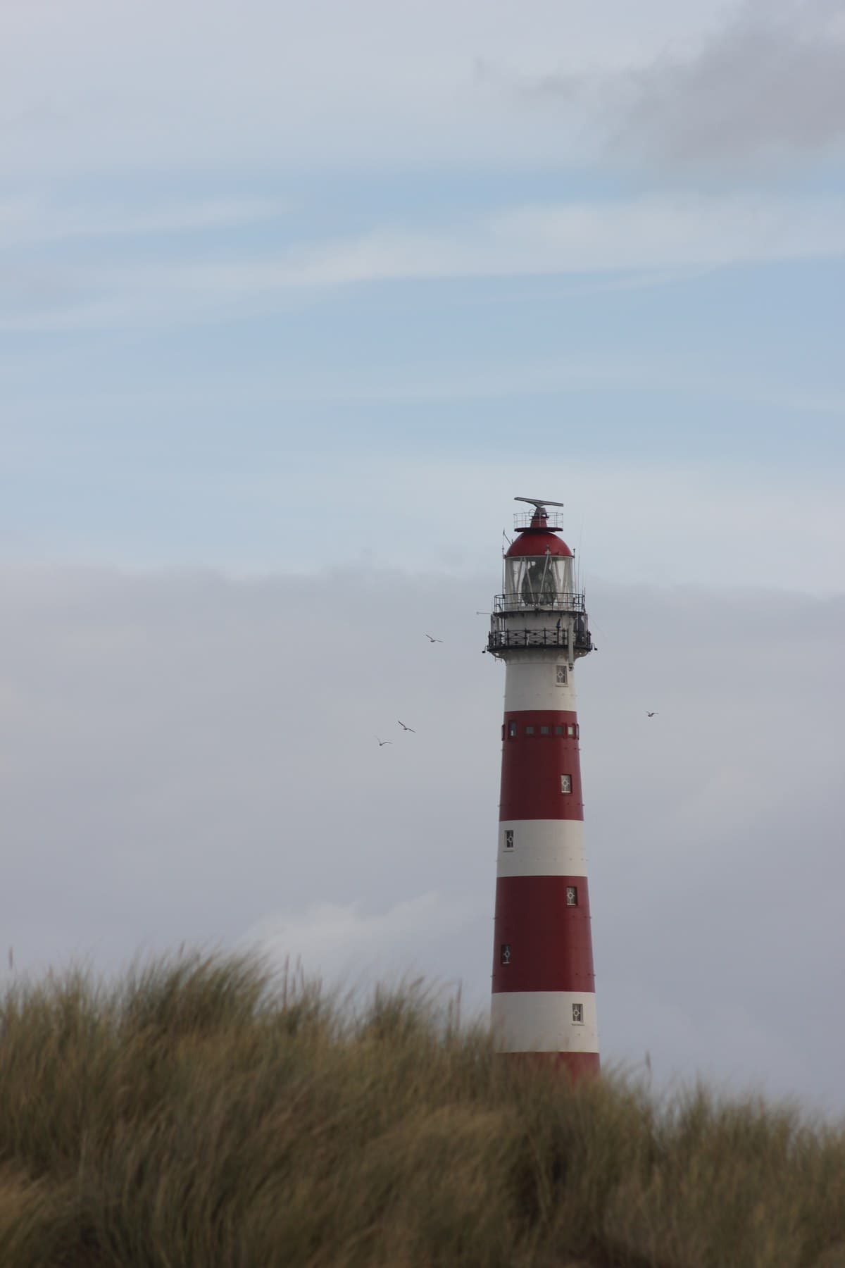 Rood-witte vuurtoren bij Ameland boven het duingras