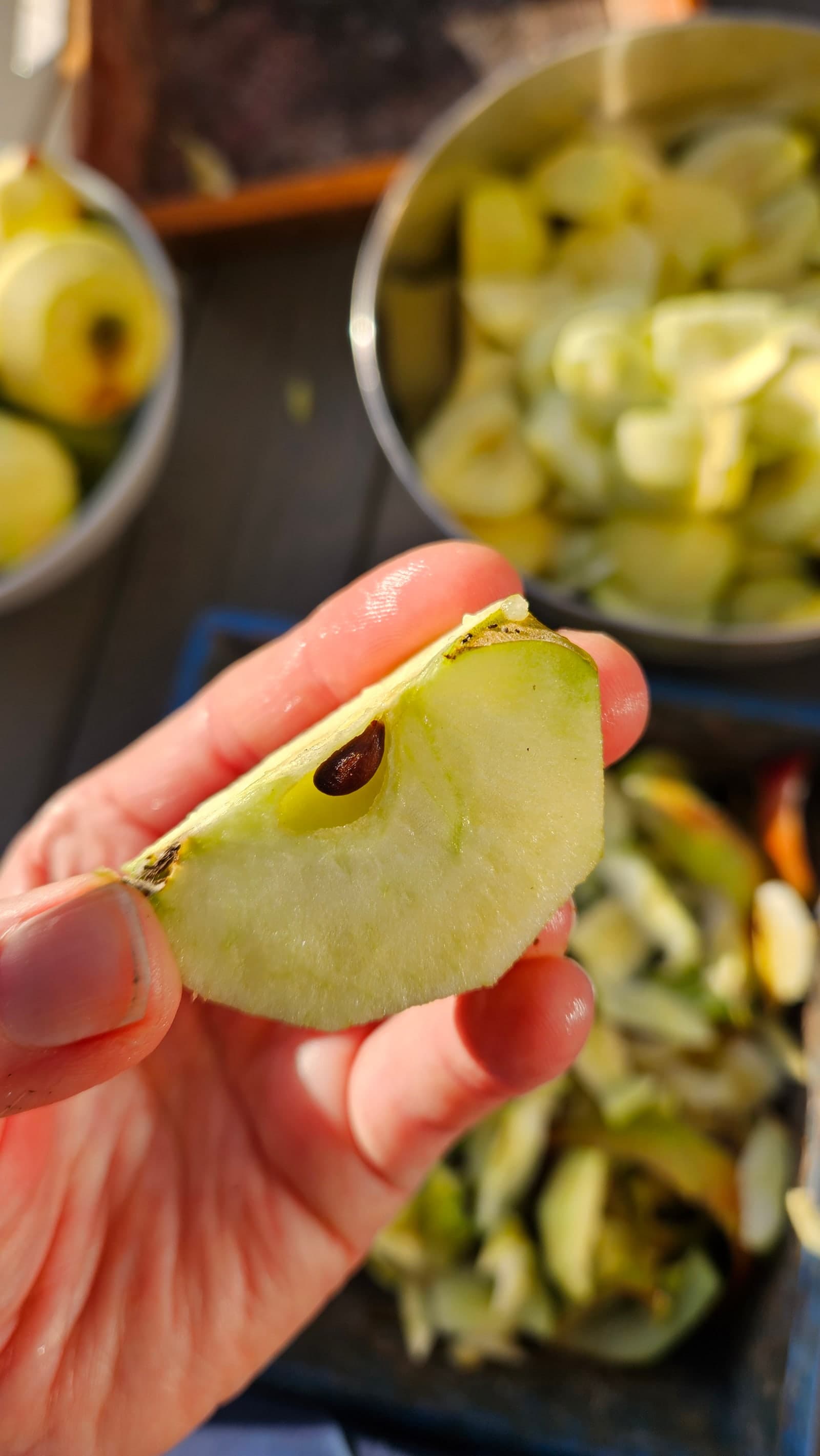Een hand houdt een stukje groene appel vast waarin een bruin appelpitje zichtbaar is.